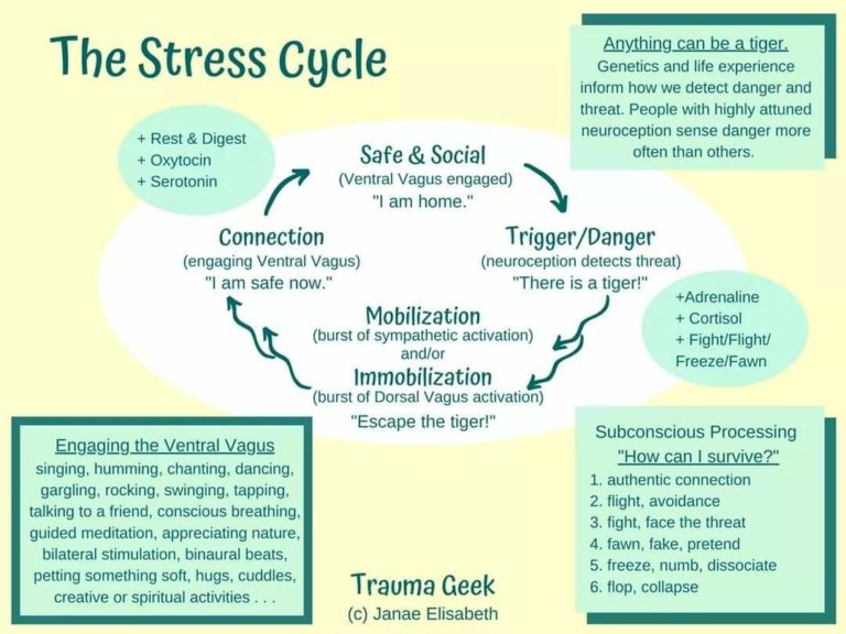 The Stress Cycle. – Richard Bamford Therapy